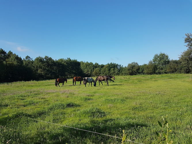 Area Du Plec à Salaunes