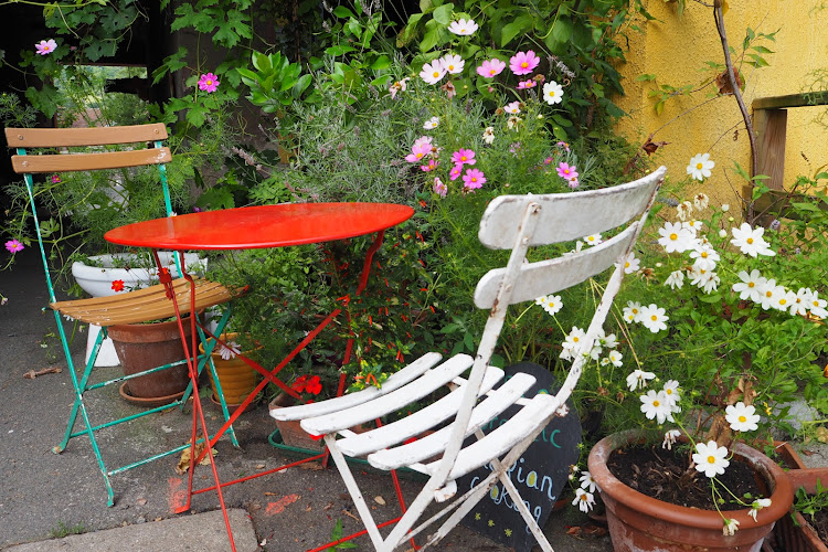 Bio Gîte La Vita É Bella à Livinhac-le-Haut