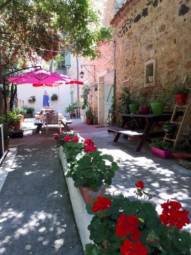 La Rainette à Marseillan