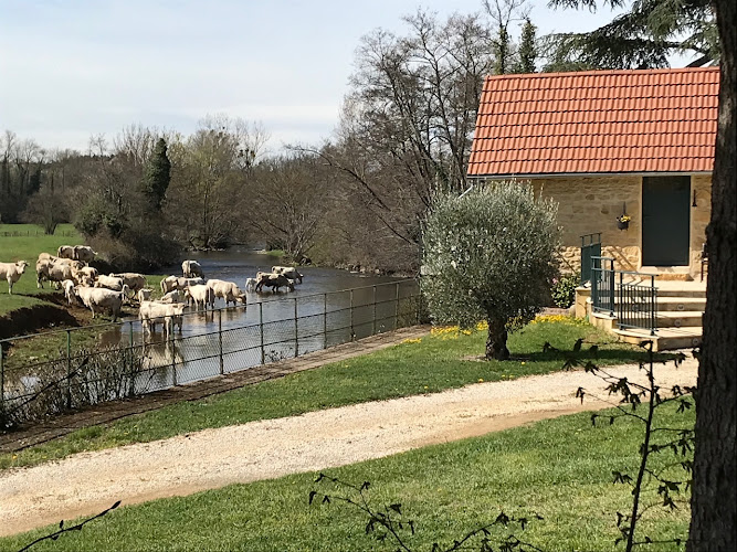 Gîte Domaine Borchamps à Saint-Nizier-sous-Charlieu