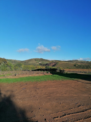 Les Vignes