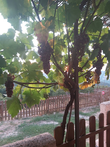 Gites les Lavandes à Beynes