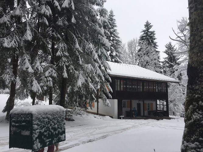 Chalet Alpe Massif à Morillon