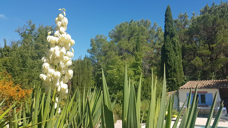Mas Saint-Geniès à Venasque