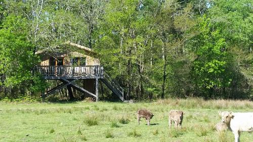 La Cabane Pastorale à Cabanac Et Villagrains