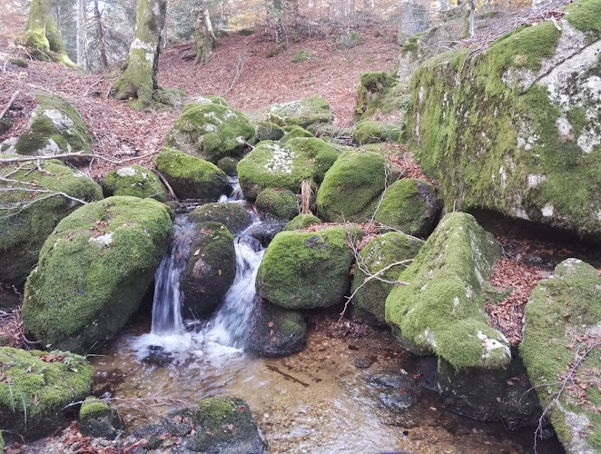Bréau-et-Salagosse à Bréau-Mars