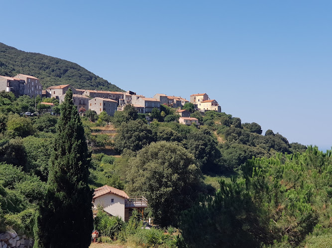 Sollacaro à Sollacaro