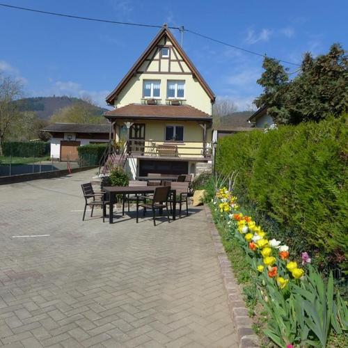 Mirabelle à Eguisheim