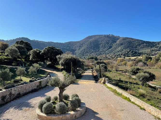 Casa di l Alivi à Aregno