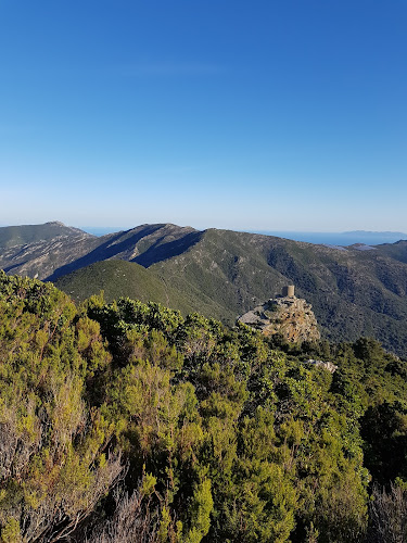Luri à Luri