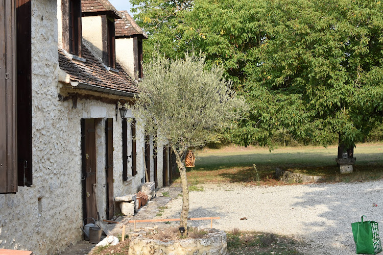 L Ours et Son Petit Oiseau à Issigeac