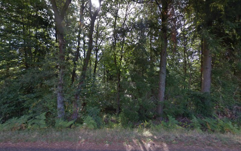 Le camp de clodo à Cunlhat