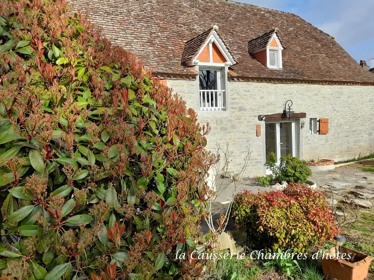 La causserie46