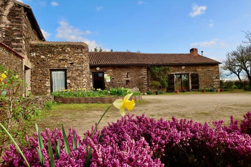 Gîte du Grand Pin à La Tardière