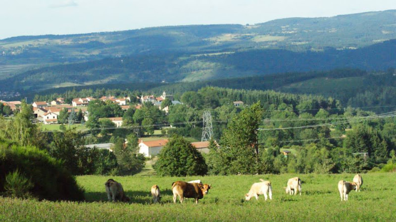 La Ferme Bio du Gévaudan à Saint-Flour-de-Mercoire