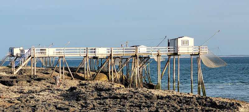 Camping Puits De L Auture à Saint-Palais-sur-Mer
