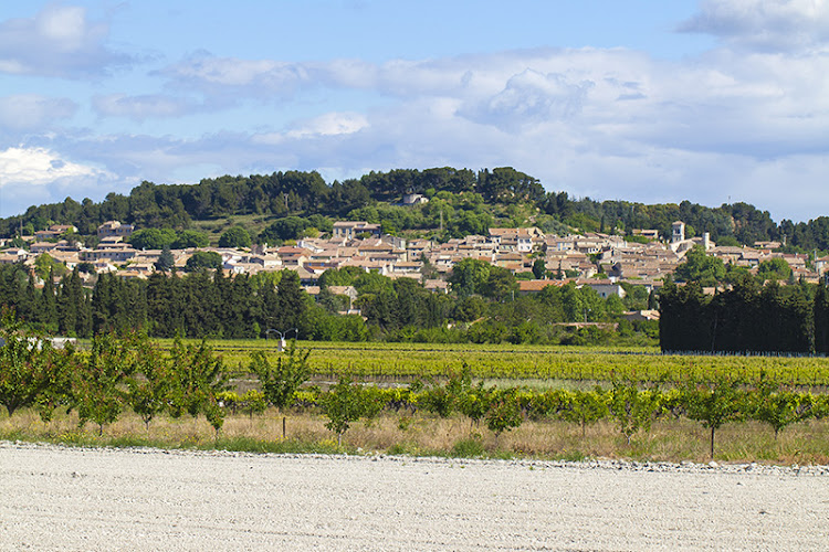 Les oliviers Location saisonnière à Pujaut