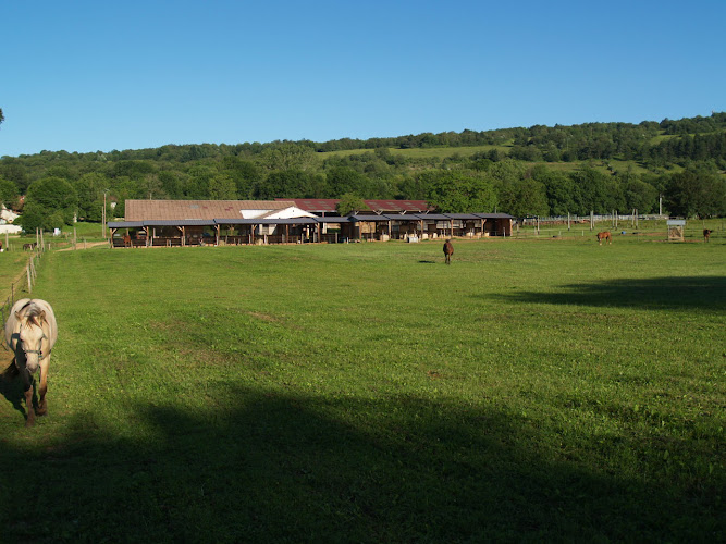 Ecurie Western Red Spring et chambres d hôtes à Val-d'Épy