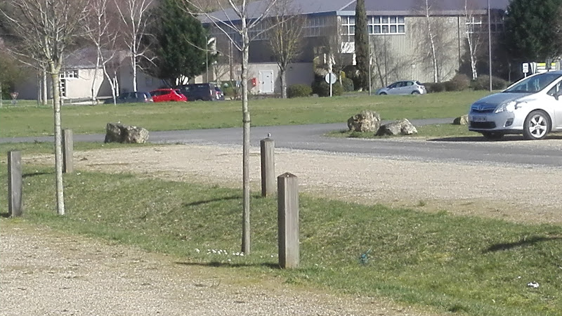 Camping Municipal Les Tuileries à Civaux