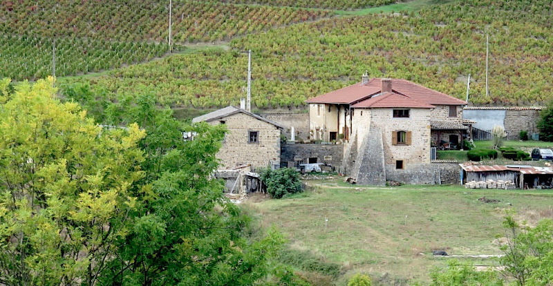 Le Clos Beaujolais à Quincié-en-Beaujolais