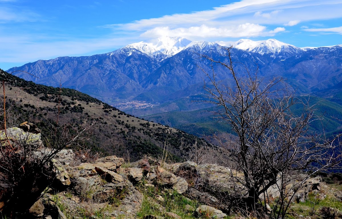 Réserve naturelle de Jújols