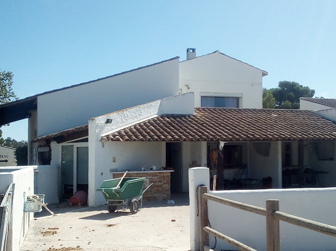 Mas du Tadorne à Saintes-Maries-de-la-Mer