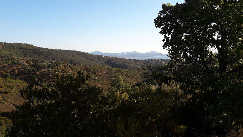 Property South Of France à Les Issambres, Roquebrune-sur-Argens
