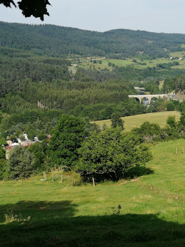 Camping Plaine De La Loire à Le Lac-d'Issarlès
