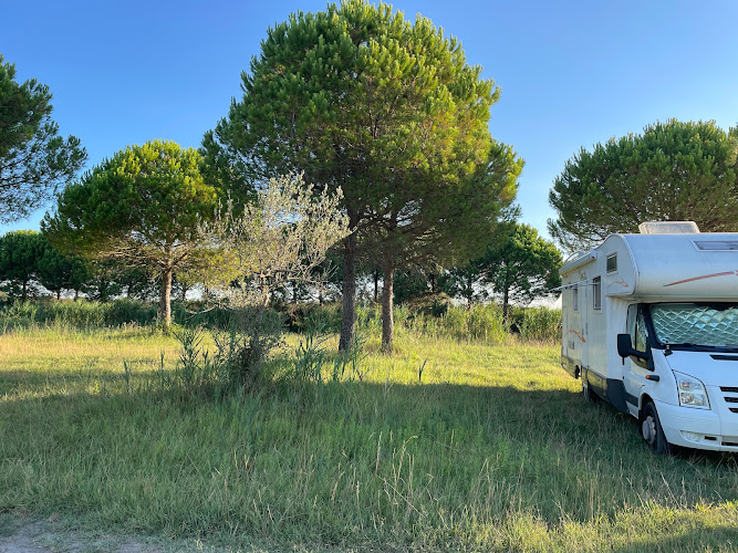 Wohnmobilstellplatz Am Weingut à Vauvert