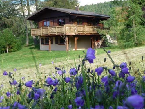 Chalets du Precoutret 2 à Xonrupt-Longemer