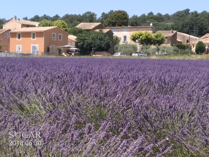 Lou Amourie à Roussillon
