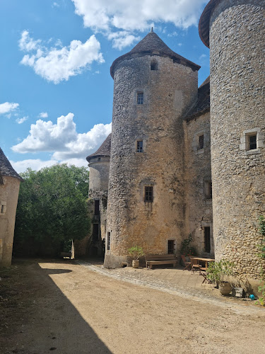 Chateau de Forges à Concremiers