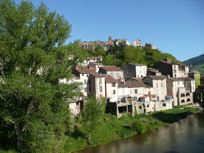 Hôtel Restaurant du Pont Vieux à Camarès