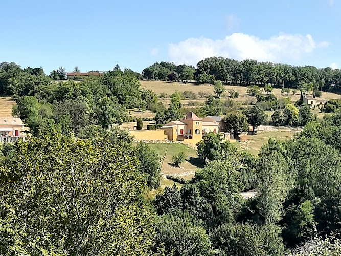 Lavergne à Saint-Avit-Sénieur