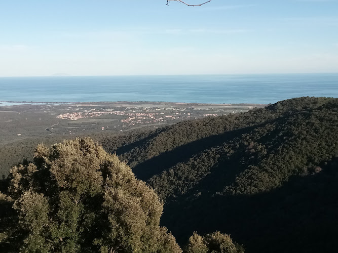 Domaine de Solenzara à Sari-Solenzara