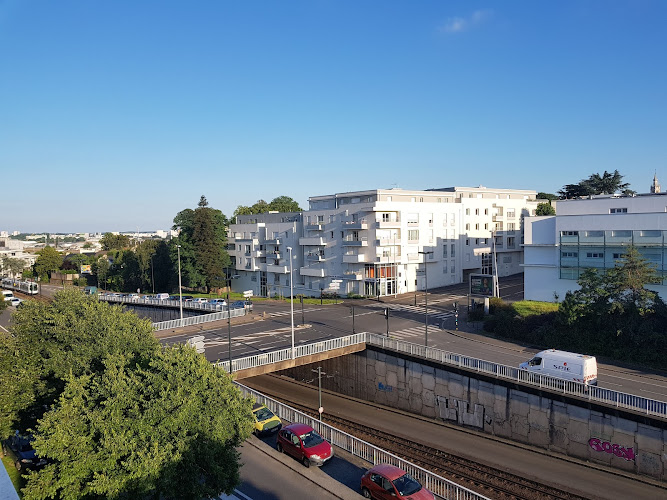 Adelis à Nantes