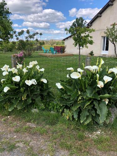Les Coulemelles à Saint Aulaye Puymangou
