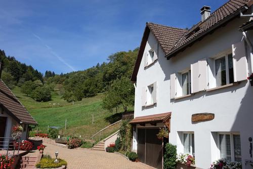 Les Géraniums du Vallon à Hohrod