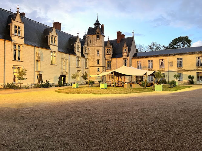 Chteau de Dissay à Dissay