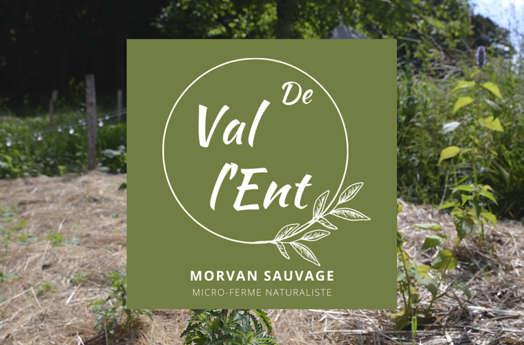 Val de l Ent Morvan sauvage à Saint-Léger-sous-Beuvray