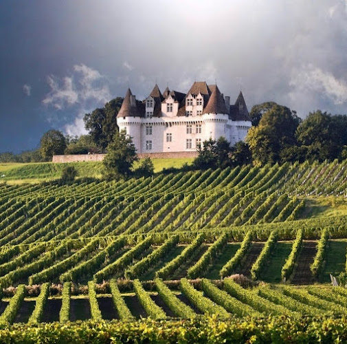 Villa le Peyrat à Monbazillac