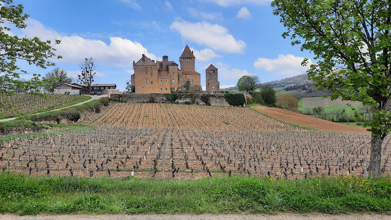 Domaine La Côte des Blancs à Vinzelles