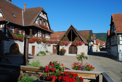 Gite vignoble de Cleebourg à Cleebourg