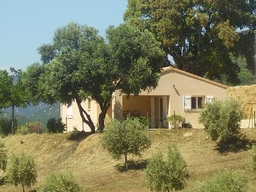 L'oliveraie 1 à Sollacaro
