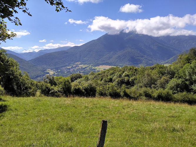 Arbon à Arbon