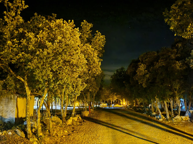 L Éouvière Verte à Artignosc-sur-Verdon