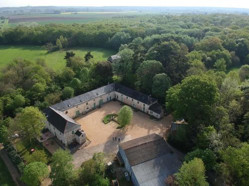 Les chataigniers à Brissac Loire Aubance