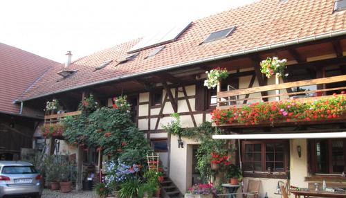 Au pigeonnier à Hindisheim