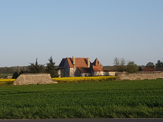 Chambre d htes Chteau de Rochefort à Mirebeau