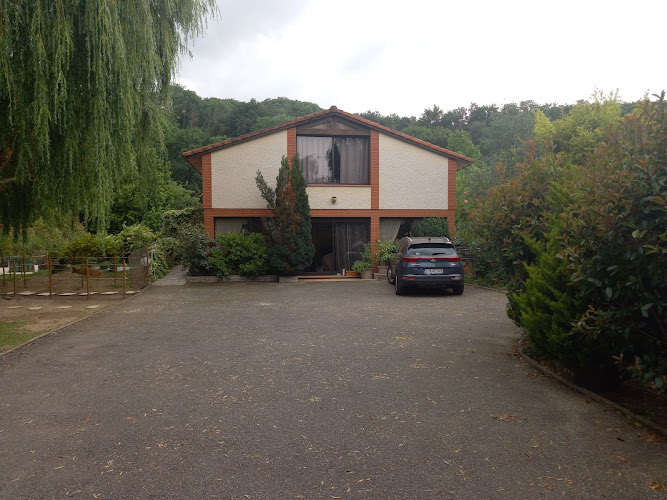 La Caldamente à Rieux-de-Pelleport